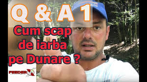 Coronary artery disease (cad) is the first cause of morbidity and mortality worldwide. Pont De La Andrei Vladeanu Pentru Apa Rece By Fishing Hunting Romania