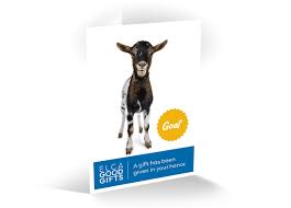 Has purchased a gift for you from tearfund's useful gifts: Goat