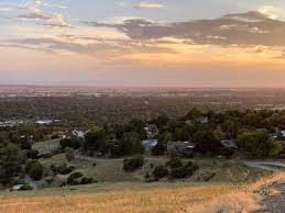 Money tree plants prefer a medium amount of light. Conflict At Warm Springs Mesa Heats Up Money Idahopress Com