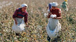 The best thing for children working in clothing factories would be if many more brands were to take responsibility and invest in better working conditions. Can The Stain Of Forced And Child Labour Be Removed From Cotton The Economist