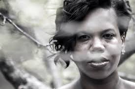 Aesthetically pleasing composition in south Florida