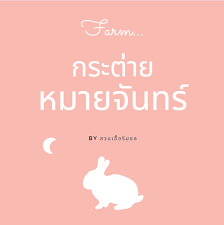 Man who wishes for an unreachable love à¸Ÿà¸²à¸£ à¸¡à¸à¸£à¸°à¸• à¸²à¸¢à¸«à¸¡à¸²à¸¢à¸ˆ à¸™à¸—à¸£ Home Facebook