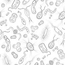 What we learn about the corona virus through waste water research — kwr. Vettoriale Reticolo Senza Giunte Con Le Immagini Di Contorno Di Batteri Germi E Virus Su Sfondo Bianco Image 69210808