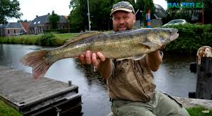 Majo (masc.) or maja (fem.), also manolo and manola, after the most popular names, were people from the lower classes of spanish society, especially in madrid, who distinguished themselves by their elaborate outfits and sense of style in dress and manners, as well as by their cheeky behavior. Majo Super Booster Uv Johnny Meets Matze Balzer