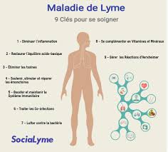 Les canadiens sont invités à prendre des mesures préventives pour réduire le risque. 9 Cles Pour Soigner La Maladie De Lyme Maladie De Lyme