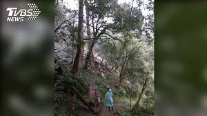 拉拉山步道登山口 拉拉山步道 拉拉山步道 拉拉山(所有登頂人員團體照) 拉拉山～海拔2031公尺,三等三角點6265號 拉拉山登頂 (照片由侯哥拍攝分享) 拉拉山步道～霧來了! æ¡å'å±±åé£æ¥éé¨ææå±±åå¹´ç´æªå·¨æ¨å'å° Tvbsæ°èç¶²