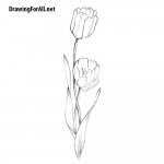 And we will outline the outline of the top of the flower pot. How To Draw A Cactus