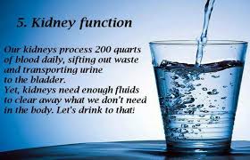 The Importance Of Drinking Water After Massage Drinking Water Drinking Alkaline Water