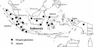 This palm is grown mostly in the niger delta region of nigeria. Preparation Of Dissolving Pulp From Oil Palm Empty Fruit Bunch By Prehydrolysis Soda Anthraquinone Cooking Method Journal Of Wood Science Full Text