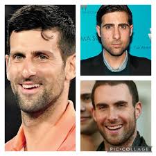 Tennis players and their celebrity look-alikes! : r/tennis