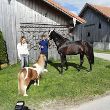 Am 14.05.2015 bekam lisa müller, im rahmen der pferd international münchen riem, das goldene reitabzeichen verliehen. Lisa Muller Und Thomas Muller Ein Besuch Im Reitstall Fc Bayern