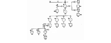 a chart from wigmore 1931 that shows how different parts