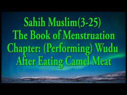 Anyone who eats camel meat must perform wudu', whether the salah (prayer) to be offered is obligatory or supererogatory. Muslim 3 25 Performing Wudu After Eating Camel Meat Youtube