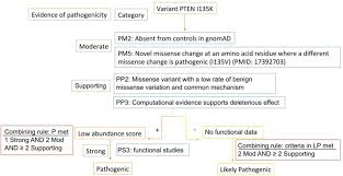 Flow Chart Of Pten P Ile135lys Pathogenicity