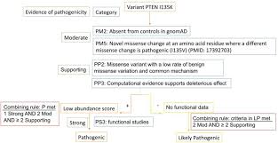 flow chart of pten p ile135lys pathogenicity