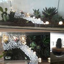 Altes Aquarium Terarium Umgestaltet Bepflanzt Kakteen Und Sokkulenten Auf Sand Und Kakteenerde Pflanzen Aquarium Kaktus