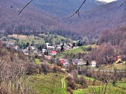 Maybe you would like to learn more about one of these? Nikiforovo Mapio Net