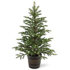 Norwegian 4 Foot Entrance Tree With Clear Lights Festival Of The Trees Ideas Unlit Christmas Trees Small Artificial Christmas Trees Pre Lit Christmas Tree