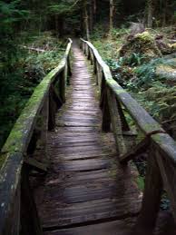 The Path Is There To Take You Where You Want To Go Wooden Bridge Bridge Old Bridges