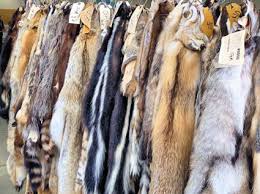 Find images of animal skin. What Is Fur