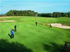 Beware, there are more pheasants on the. Macdonald Linden Golf Courses Open Fairways