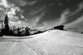 White black landscapes black white landscape snow nature white clouds sky trees blue sky background season beach green tree sand winter holiday scenery decoration hd picture sunset commercial picture blue forest ball xmas christmas seasonal glass rays bauble wild sunny animal. Winter Landscape In Black And White Image Free Stock Photo Public Domain Photo Cc0 Images