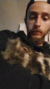 Our latest rescues at Home from Home Bunny and Guinea pig Rescue Hotel Sows  and boars