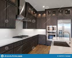 nice modern kitchen in a new house tx