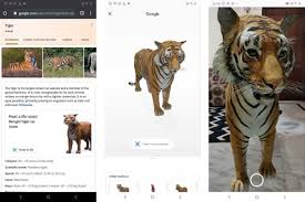 How to use view in 3d google option, tiger view in 3d, lion view in 3d in hindi. Google 3d Animals And Ar Objects Baby Yoda And Other Creatures How To View Supported Smartphones And More Pricebaba Com Daily