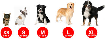 Dog Breed Sizes Chart Goldenacresdogs Com