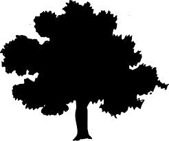 Park Tree Silhouette Forest Oak Elm Park Tree Silhouette Forest Oak Elm Silhouette Silhouette Images Tree Silhouette