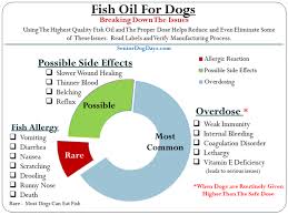 Dog Fish Oil Overdose Vs Side Effects Plus The Critical