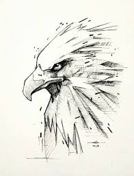 Get going and draw some cute easy animal drawings ideas. 54 Animals With Wings Pencil Drawing Ideas Desenhos Para Tatuagem Masculino Aguia Desenho Desenhos Para Tatuagem