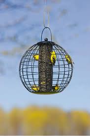 Best Bird Feeders For Small Birds Globe Cage Bird Feeder Perfect For Small Birds And Keeps Jays Squirrels And Other Feeder Bullies Out Bird Feeders Caged Bird Feeders Bird Feeder Hangers