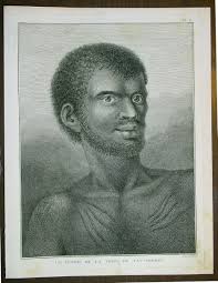 1785 Capt. Cook Antique Print Aboriginal Man of Bruny Island, Tasmania in  1777