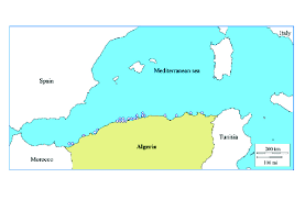 Image result for Lactuca imbricata