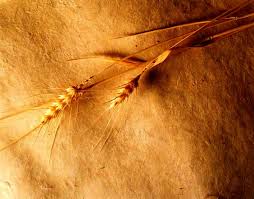 Download zedge™ app to view this premium item. 70 Beige Backgrounds Hd Download Free Wallpapers