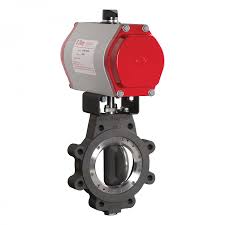 Bray Triple Offset Butterfly Valve Tri Lok High Performance