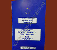 Use our interactive map, address lookup, or code list to find the correct zip code for your postal mails destination. Transport Caini Si Pisici Germania Transport Animale De Companie Caini Si Pisici In Tara Si International Transportcaini Ro