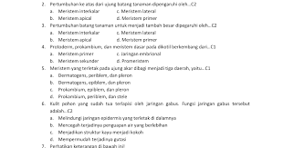 Demikianlah contoh soal teks diskusi pilihan ganda dan jawabannya. Contoh Soal Dan Jawaban Jaringan Tumbuhan Kemendikbud