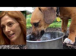 Animal Communicator and Over-protective dog- Pet Sense: Leo and Emma Part  2.mov