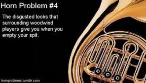 Pin By Kiona Bilstra On Marching Band French Horn Band Nerd Horns