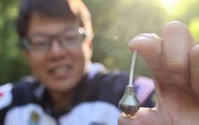 Tourney bait rundowns, How jerkbaiting has changed, Ned a tube?