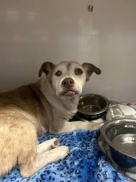 Suspicious males in Redlands area