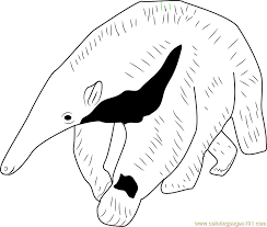 Select from premium giant anteater images of the highest quality. Young Giant Anteater Coloring Page For Kids Free Anteater Printable Coloring Pages Online For Kids Coloringpages101 Com Coloring Pages For Kids