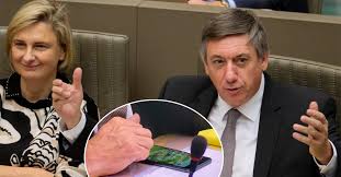 Hij is de zoon van honoré loones en rosette dewitte, beiden burgemeester van oostduinkerke. De Oppositie Stapt Op En Vlaamse Regering Begint Met Valse S Het Nieuwsblad Mobile