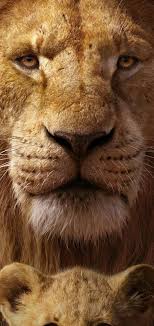 The Lion King 8k Android Phone Wallpaper Download Instawallpaper Lion Pictures Wallpapers Vintage Lion King