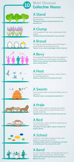 A bouquet of flowers or. Collective Nouns List 10 Most Unusual English Collective Nouns