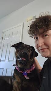 Reunited with pet after six months