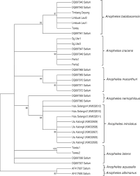 It is on the west coast of peninsular malaysia and is bordered by perak to the north, pahang to the east. Plasmodium Knowlesi Malaria An Emerging Public Health Problem In Hulu Selangor Selangor Malaysia 2009 2013 Epidemiologic And Entomologic Analysis Parasites Vectors Full Text